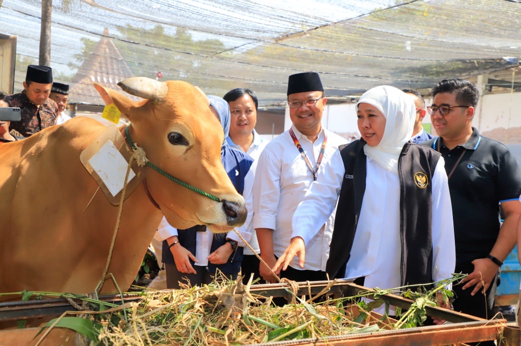 PMK di Jawa Timur Tertangani Dengan Baik, Khofifah Optimis Stok Hewan Ternak Aman Jelang Ramadhan