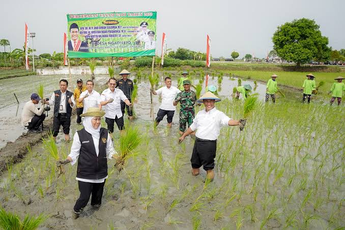 Kontribusi Laju Tanam Padi Jatim Terbesar di Indonesia,  Sumbang 25% Luas Nasional, Gubernur Khofifah: Komitmen Wujudkan Kedaulatan Pangan di Jawa Timur