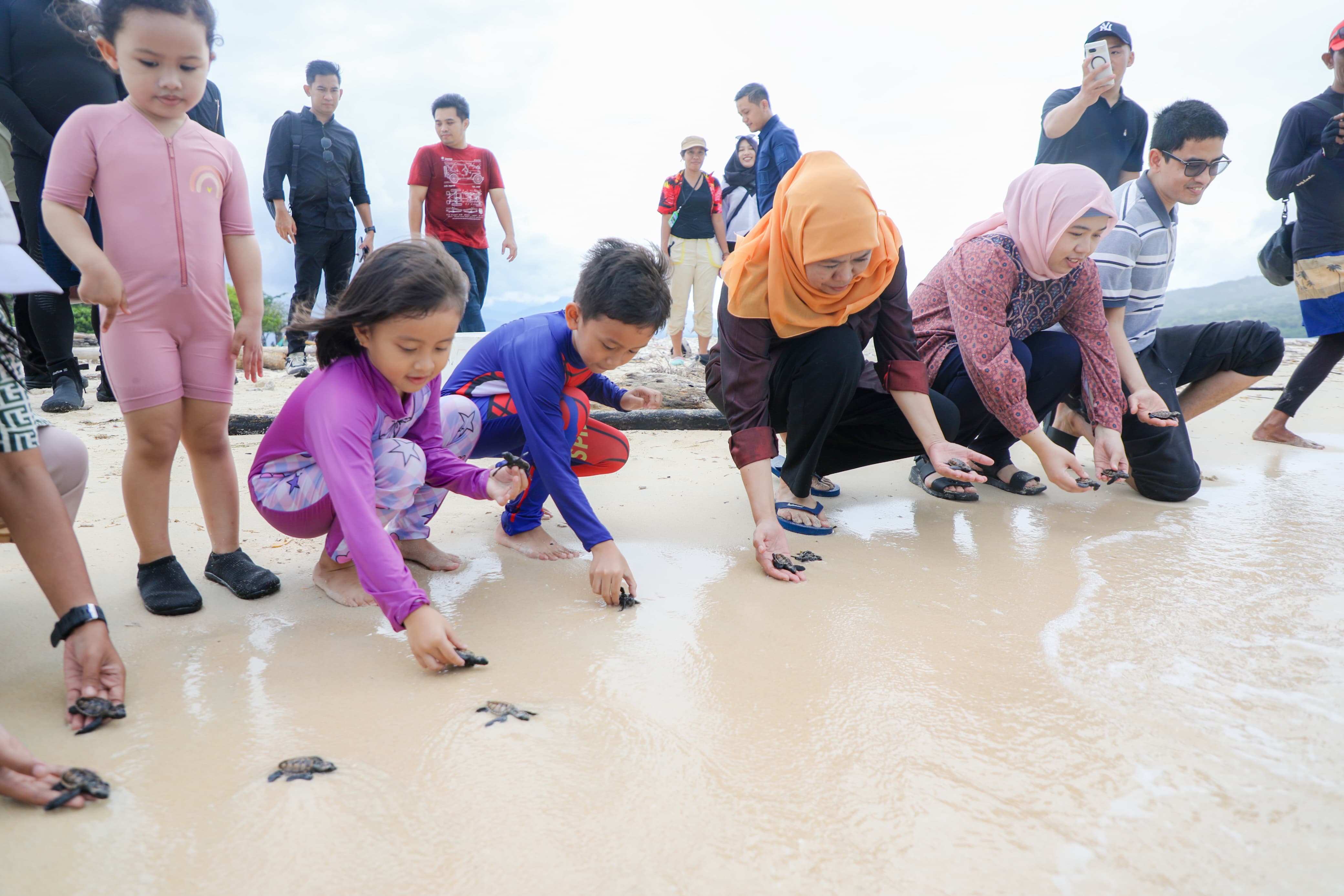 Gubernur Khofifah Lepas Puluhan Tukik di Pulau Tabuhan Banyuwangi, Ajak Masyarakat Galakkan Konservasi Penyu di Jatim