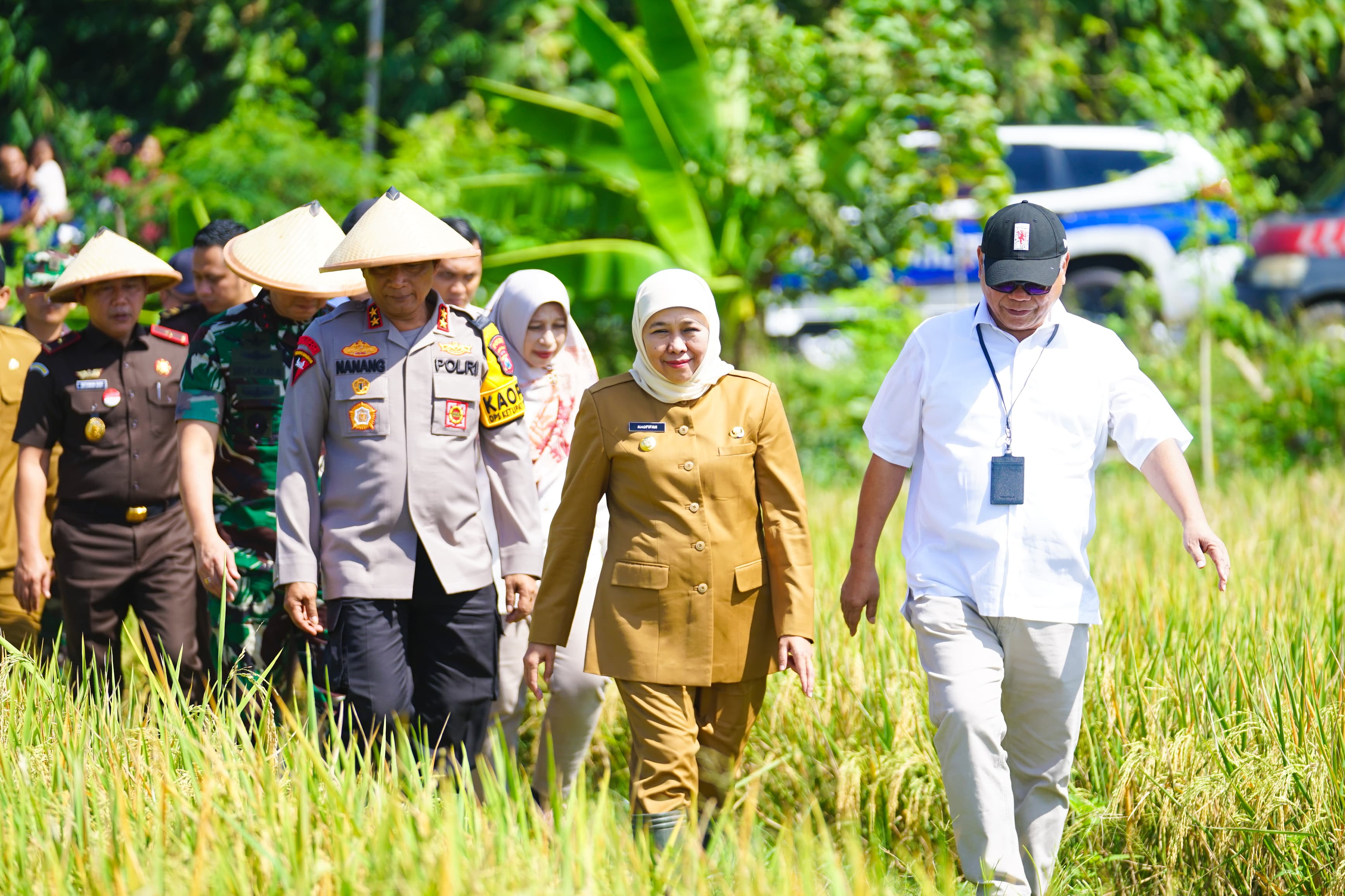 Jawa Timur Panen Raya Serentak, Gubernur Khofifah Tegaskan Komitmen Jaga Kesehatan Pangan