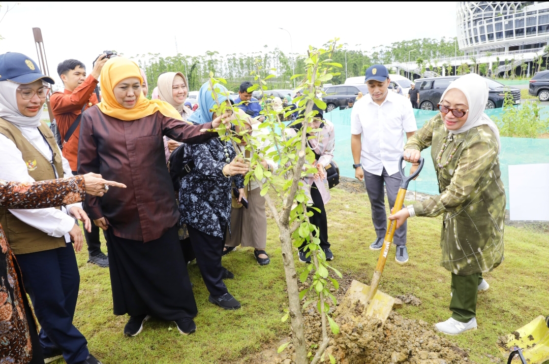 Gubernur Khofifah Tanam Pohon Maja di IKN, Tumbuhkan Optimisme dan Sinergi Wujudkan Jatim Gerbang Baru Nusantara