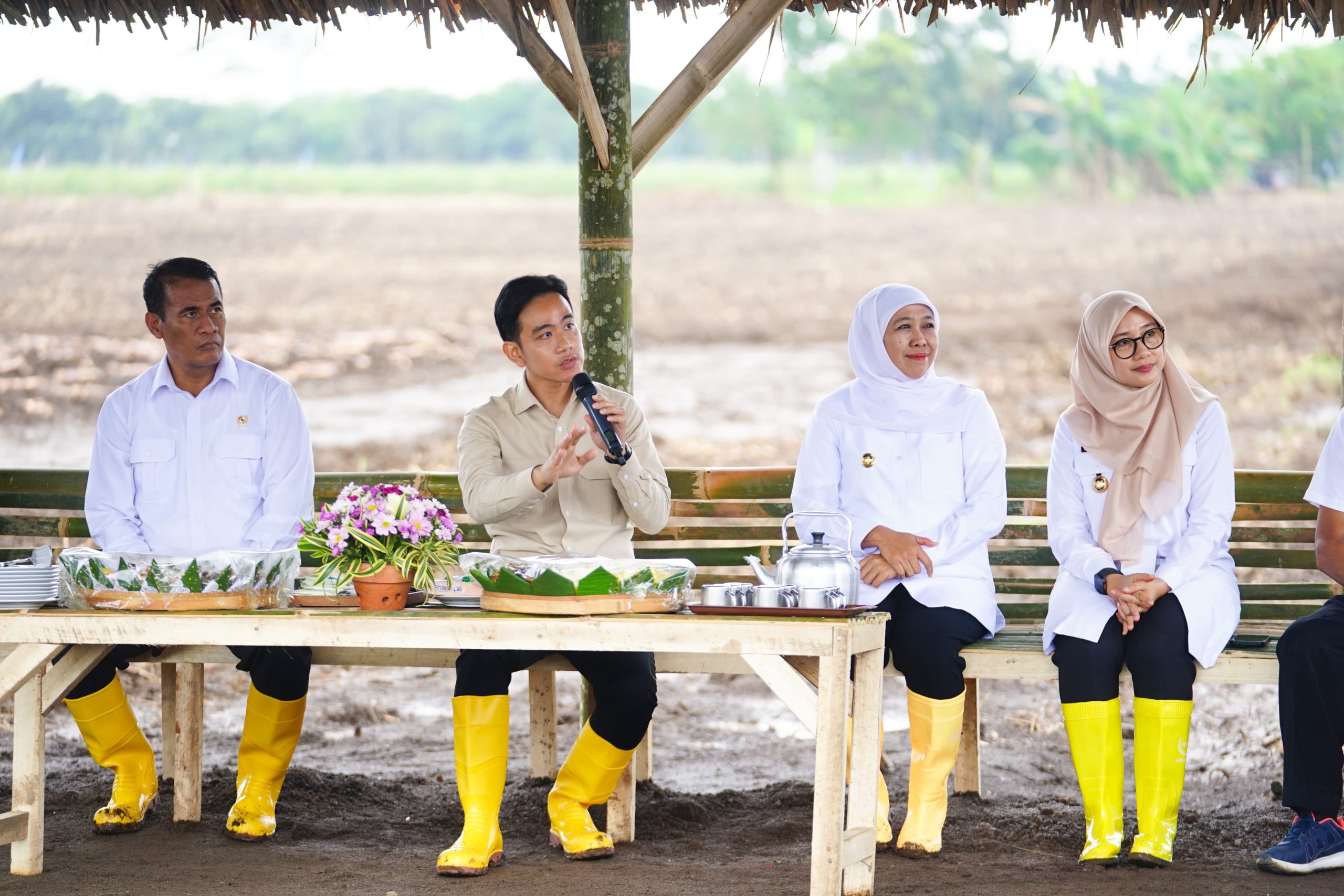 Gubernur Khofifah Dampingi Wapres Gibran Tanam dan Panen Tebu di Banyuwangi: Jatim Kontribusi 51,87 Persen Gula Nasional.  Siap Wujudkan  Swasembada Gula Nasional