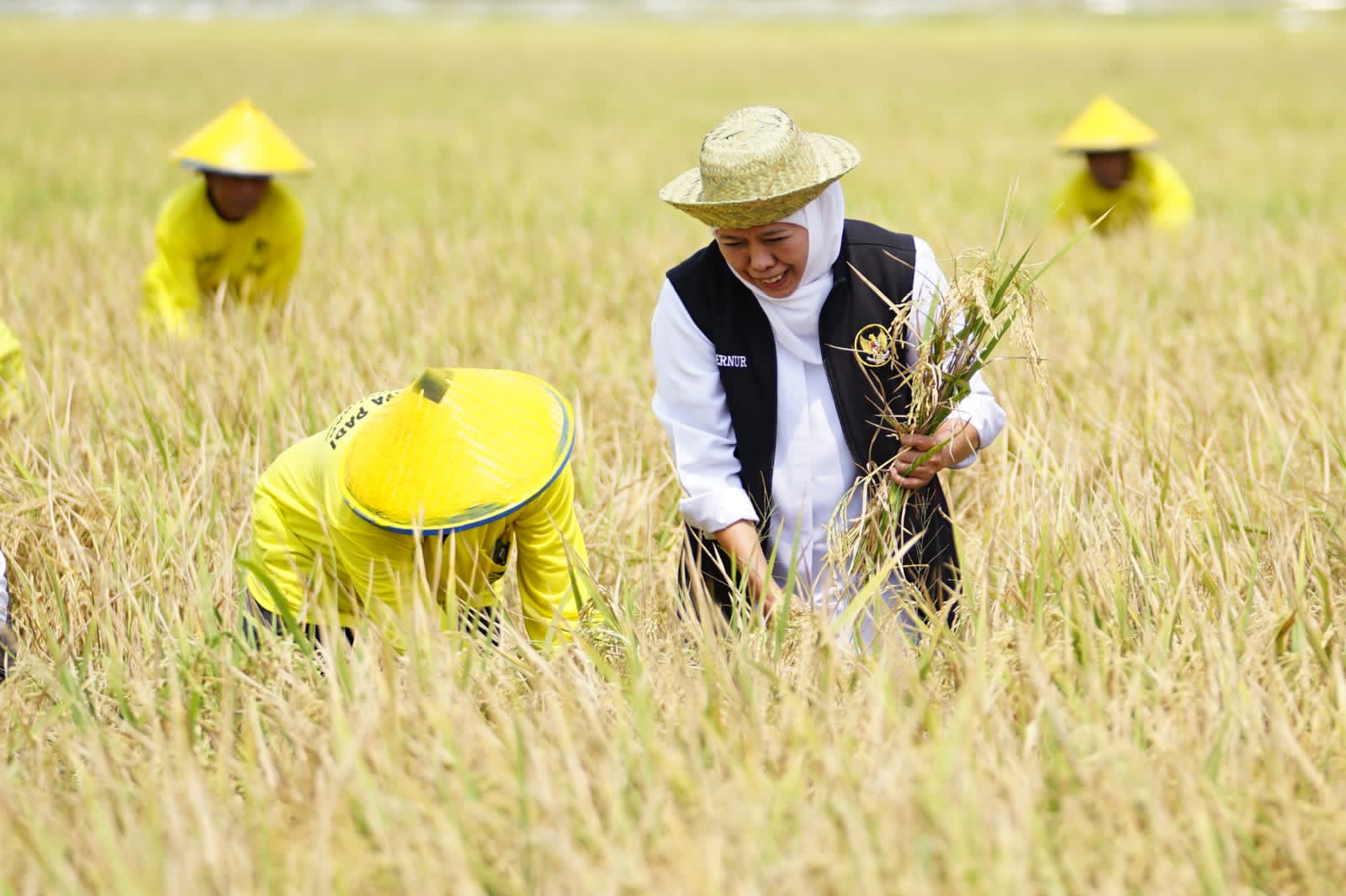 Potensi Produksi Padi Januari-Juli 2025 Nyaris 9 Juta Ton GKP, Gubernur Khofifah Optimis Wujudkan Kedaulatan Pangan Nasional dari Jatim