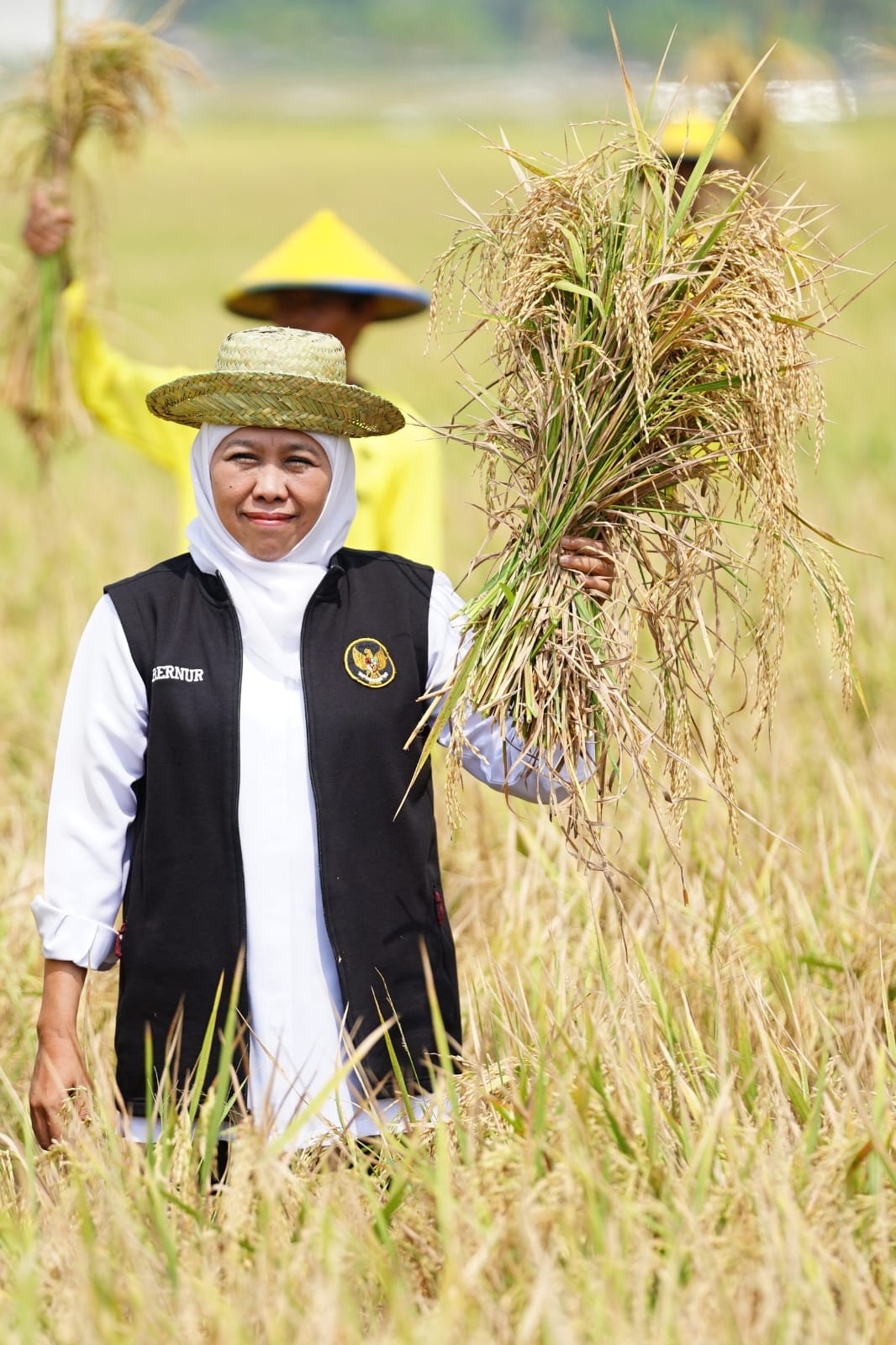 Potensi Produksi Padi Januari-Juli 2025 Nyaris 9 Juta Ton GKP, Gubernur Khofifah Optimis Wujudkan Kedaulatan Pangan Nasional dari Jatim