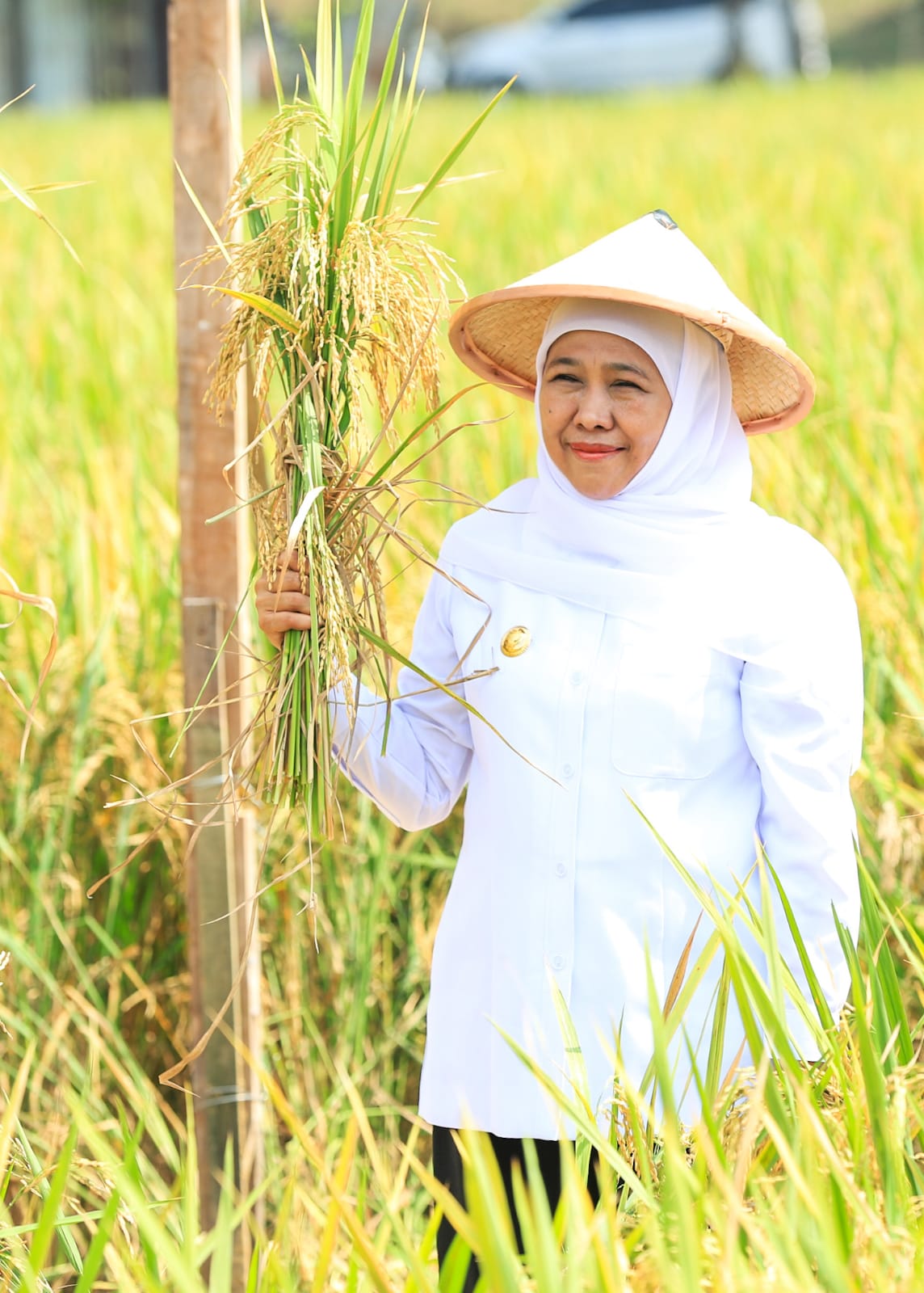 Apresiasi Kampung Pangan Terpadu Kodim 0812  di Lamongan, Gubernur Khofifah Siap Replikasi Integrated Farming Untuk Wujudkan Kedaulatan Pangan