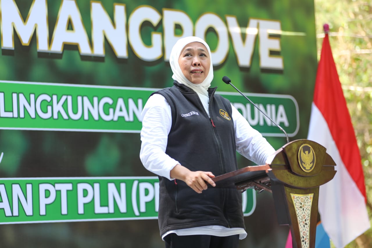 Hutan Mangrove Jatim Terluas di Pulau Jawa, Gubernur Khofifah Ajak Masyarakat Sedekah Oksigen Lewat Gerakan Tanam Mangrove