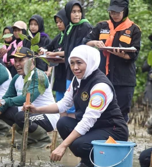 Hutan Mangrove Jatim Terluas di Pulau Jawa, Gubernur Khofifah Ajak Masyarakat Sedekah Oksigen Lewat Gerakan Tanam Mangrove