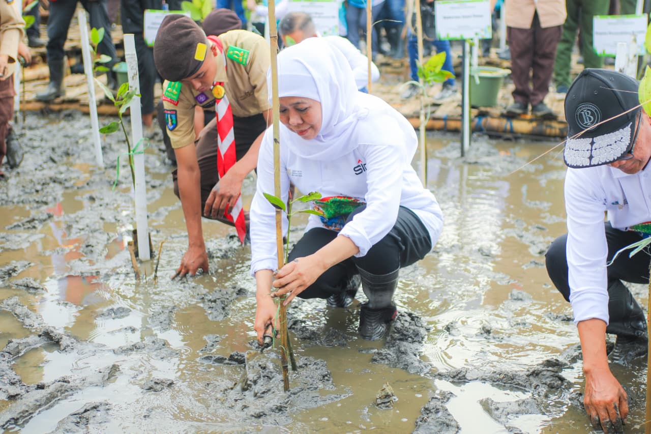 Festival Mangrove Jadi Momentum Kuatkan Potensi Ekonomi Biru di Jatim, Gubernur Khofifah Ajak Semua Pihak Jaga Ekosistem Mangrove
