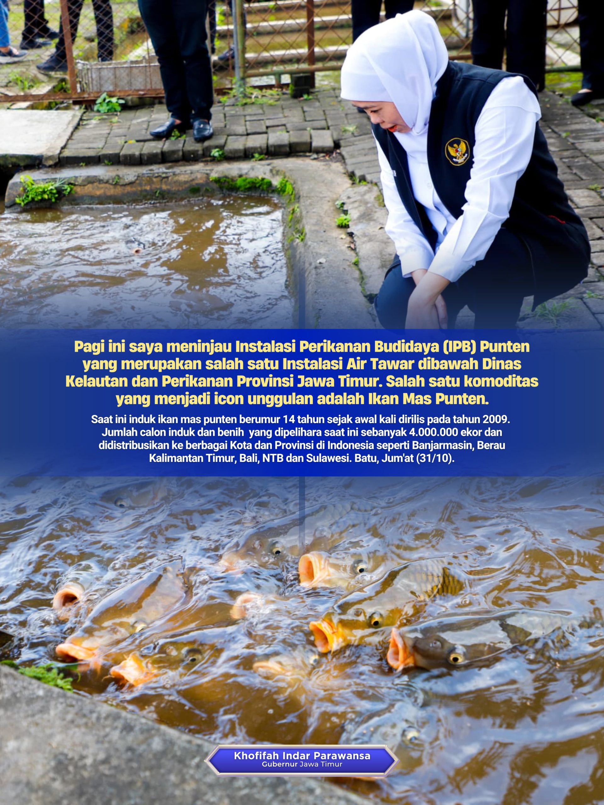 Gubernur Khofifah Tinjau Budidaya Ikan Mas Punten di Kota Batu, Siap Kembangkan Produksi Jutaan Ekor Benih