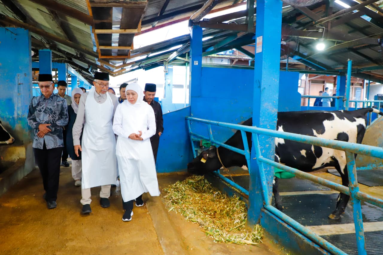 Gubernur Khofifah Apresiasi KPSP Setia Kawan Sebagai Model Peternakan Modern Berbasis No Waste Energy