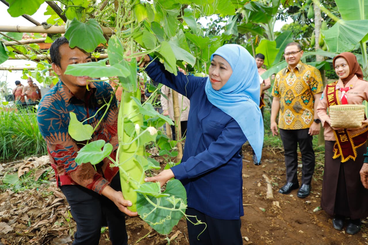 Gubernur Khofifah Apresiasi SIKAP SMAN 1 Dampit Jadi Inspirasi Implementasi Ketahanan Pangan Nasional Berbasis Sekolah