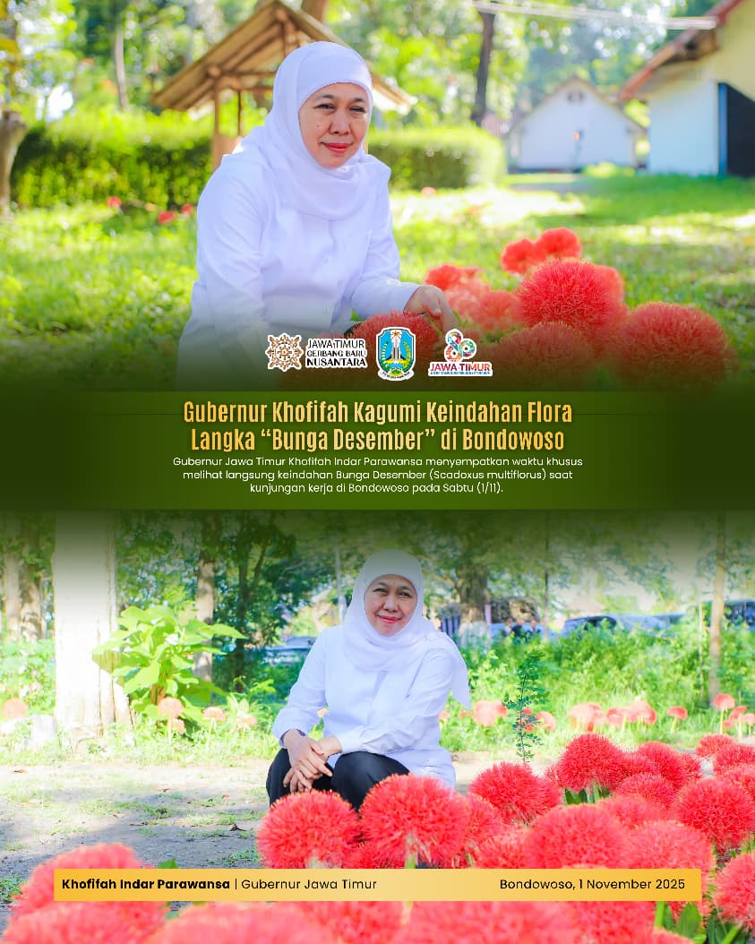 Gubernur Khofifah Tinjau Bunga Desember di Klabang, Ajak Masyarakat Rawat Keanekaragaman Hayati