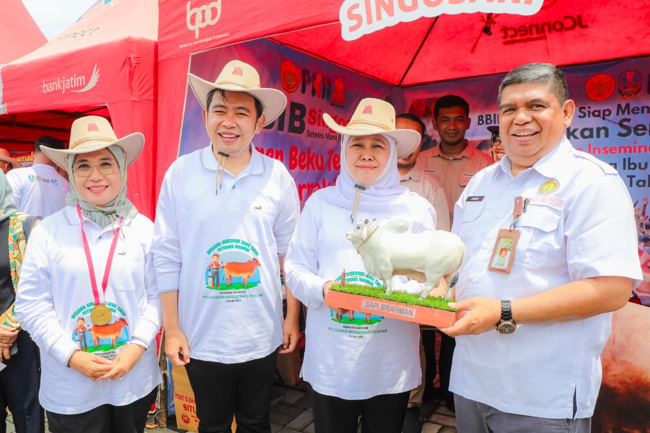 Gubernur Khofifah Ungkap Strategi Pemprov Jatim Pulihkan Populasi Sapi Pasca PMK Lewat IB Massal