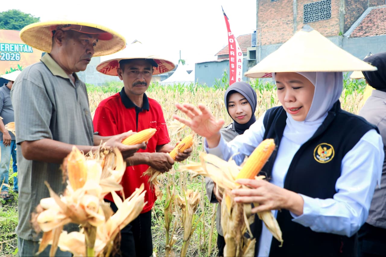 Gubernur Khofifah Ucap Terima Kasih ke Kapolda Jatim, Panen Jagung Serentak di Sidoarjo Awali Optimisme Swasembada Pangan 2026 Berbasis Kesejahteraan Petani