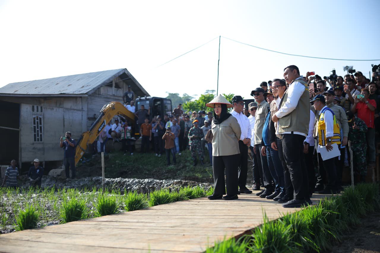 Distribusi Terjaga, Stok Beras Aceh Aman