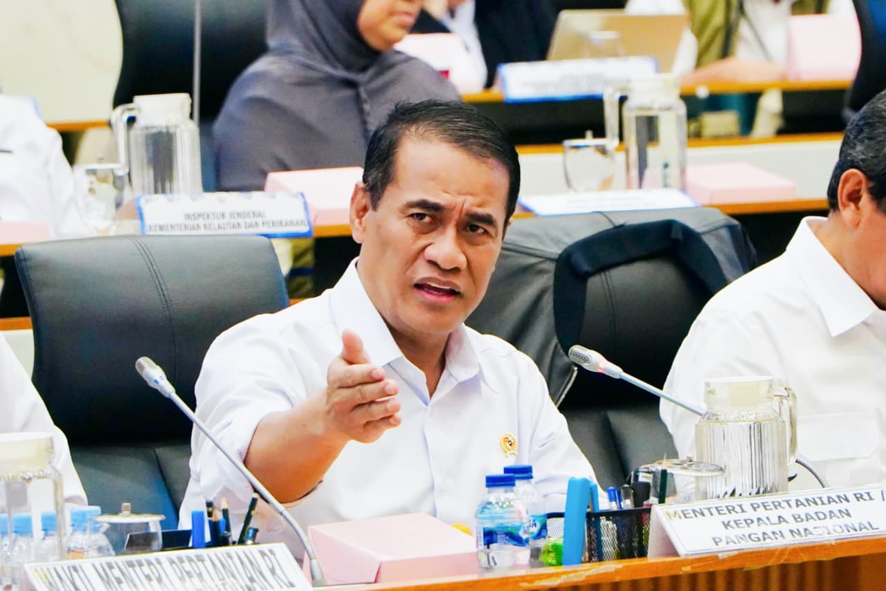 Pemerintah Tingkatkan Cadangan Pangan Lewat Penyerapan Domestik