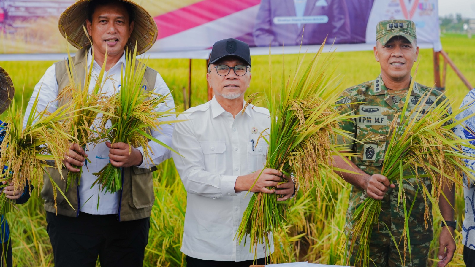 Penyerapan Gabah Diperkuat untuk Stabilitas Pangan Nasional