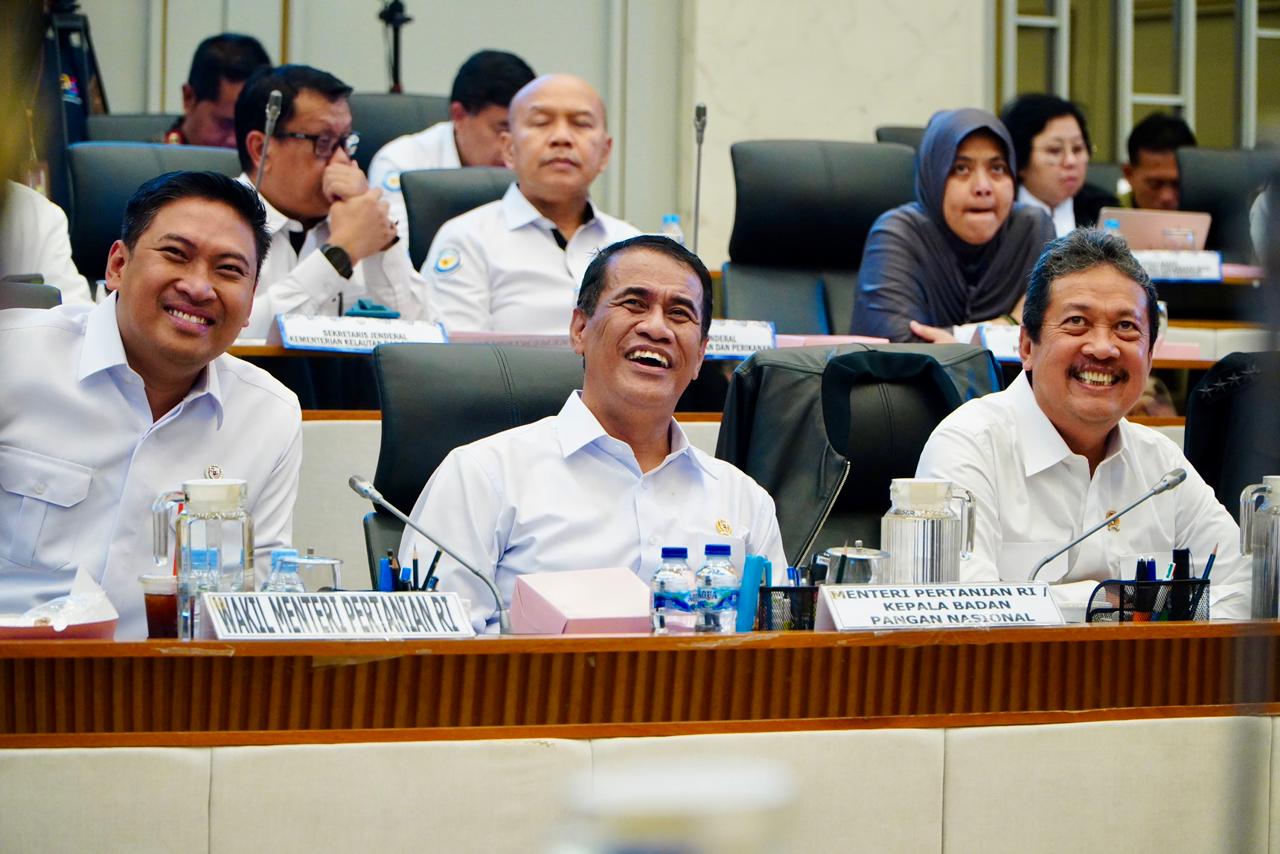 Pemerintah Optimistis Ketersediaan Pangan Nasional Terjaga