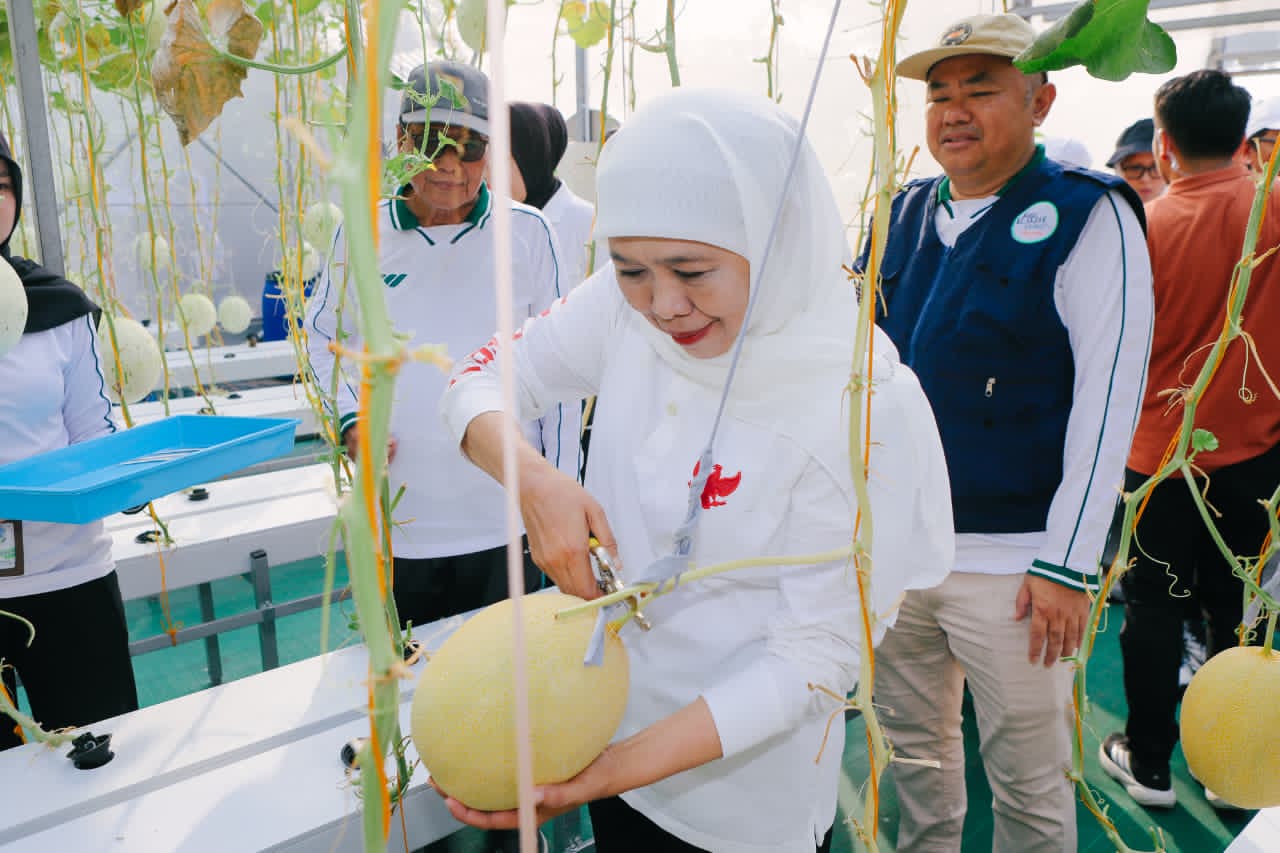 Gubernur Khofifah Optimalkan Lahan Masjid untuk Ketahanan Pangan, Al-Akbar FishTech dan Smart Green House Jadi Inspirasi Nasional