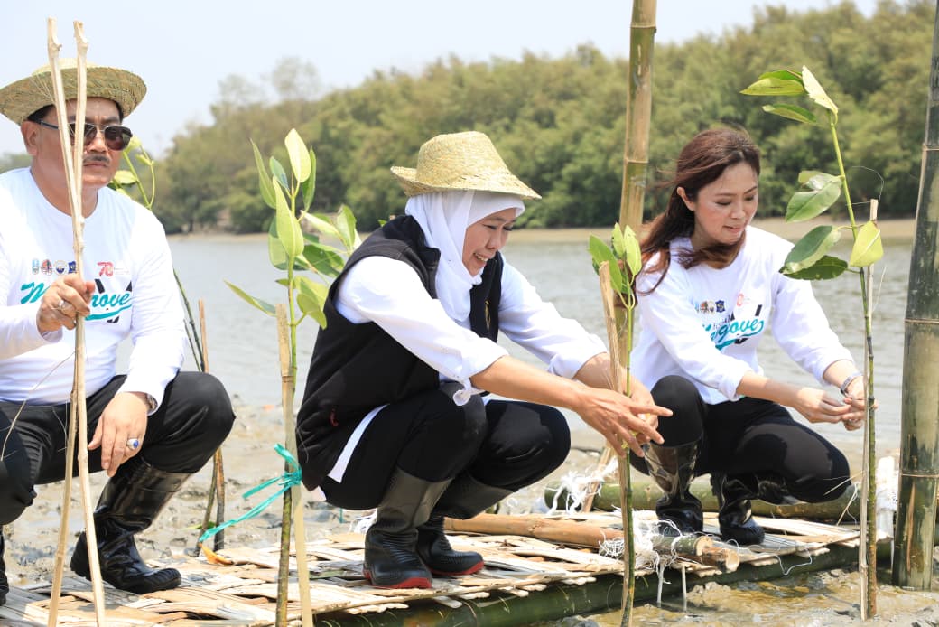Peringati Hari Mangrove Sedunia 2026, Gubernur Khofifah Minta Sinergi Lintas Sektor Perluas Rehabilitasi Pesisir