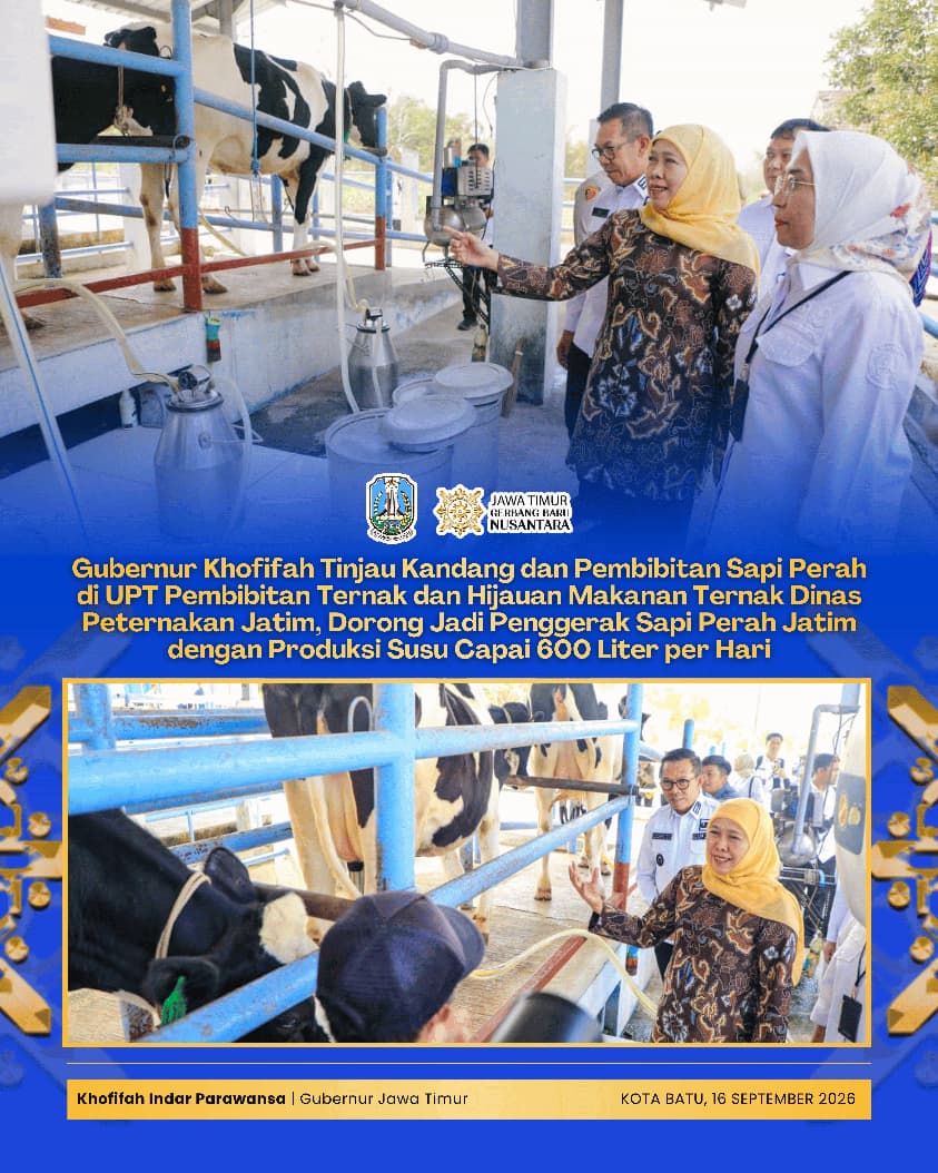 Gubernur Khofifah Perkuat Peran UPT Batu sebagai Pusat Pembibitan, Budidaya, dan Pengembangan Sapi Perah Jatim