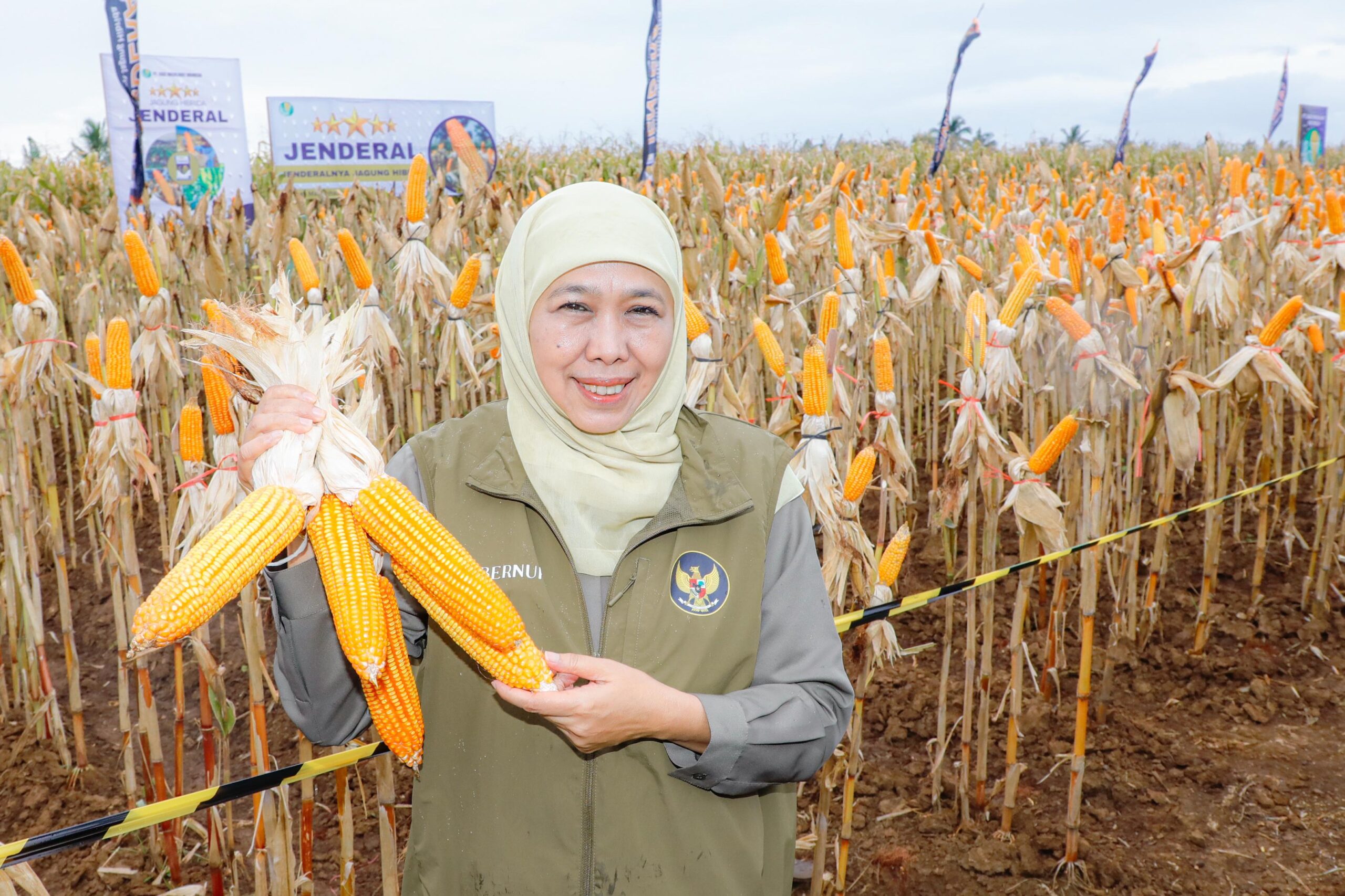 Produksi Padi Jatim Terus Tumbuh, Gubernur Khofifah Dorong Penguatan Ekosistem Pertanian dan Kepastian Pasar
